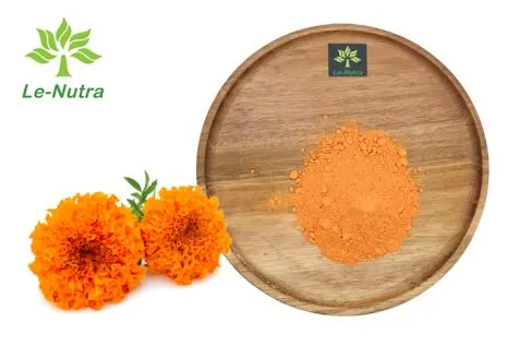 금잔화 꽃 추출물