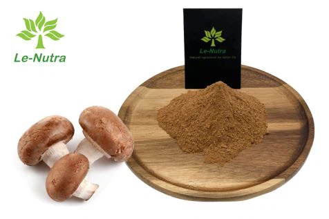 표고 버섯 추출물 분말