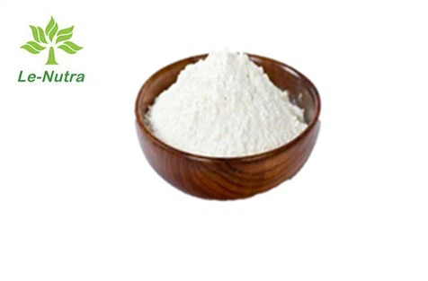 말토 덱스트린 분말