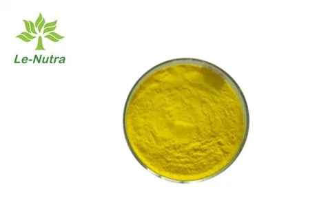 Panax 인삼 잎 추출물