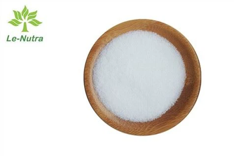 제약 등급 암포 테리 신 99 % B