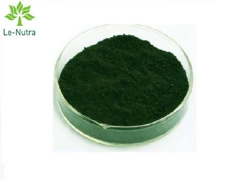 나트륨 클로로필린