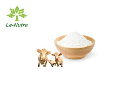 소 콜라겐 분말