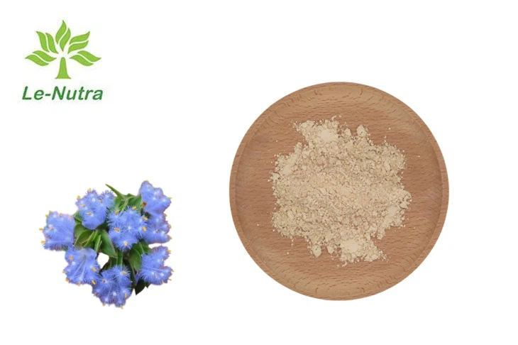 Cyanotis Vaga Extract